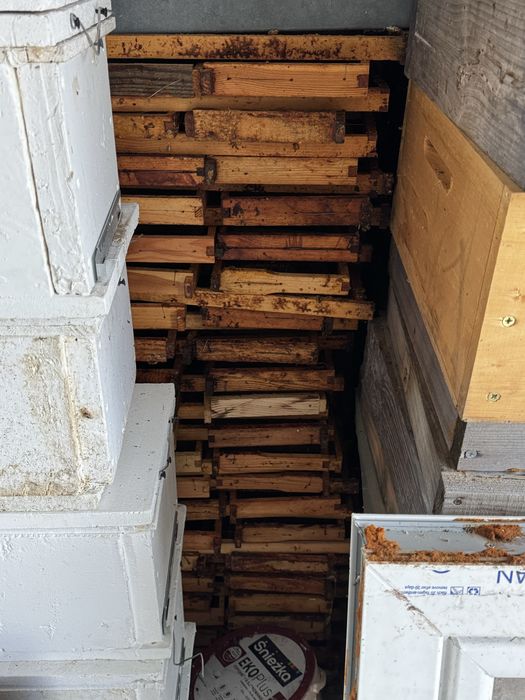 Pasieka 80 rodzin, dzialajaca strona www, fb, tik-tok