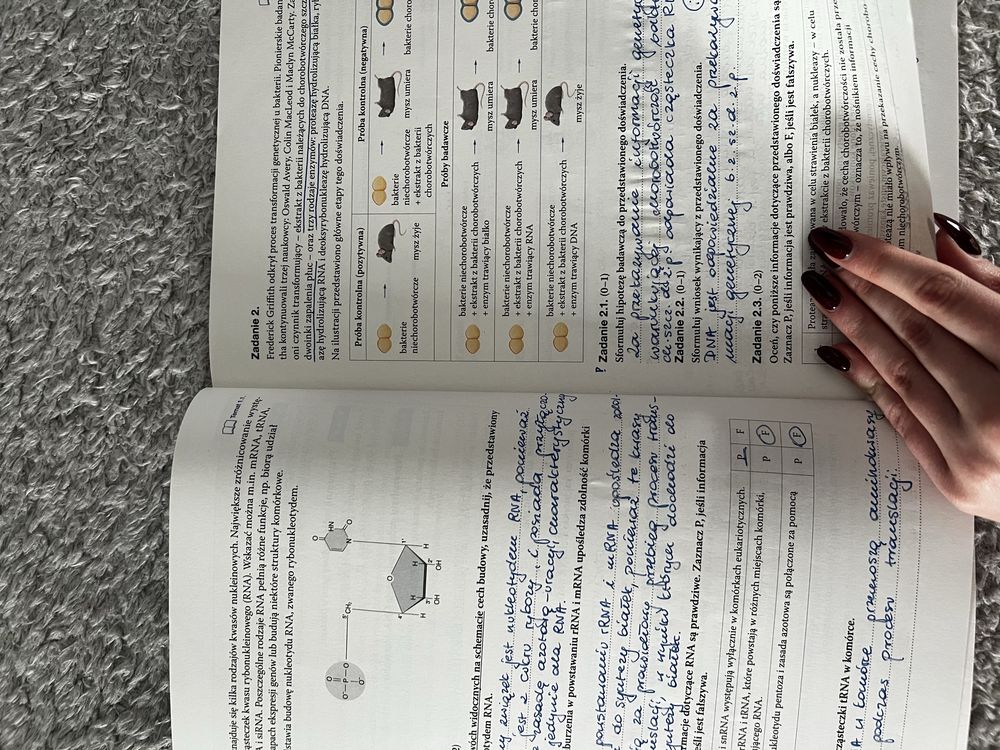 maturalne karty pracy biologia 4