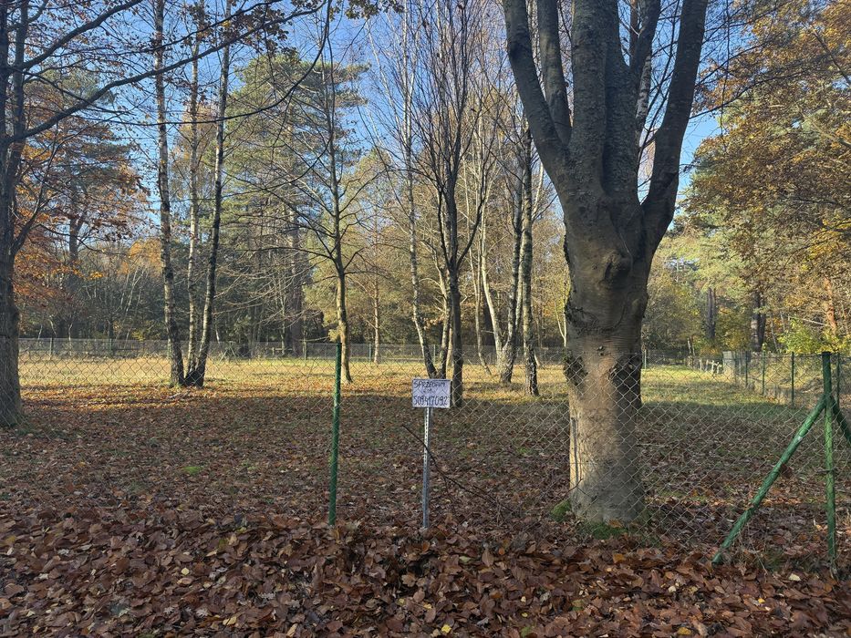 Dzialka leśna nad morzem Rozewie