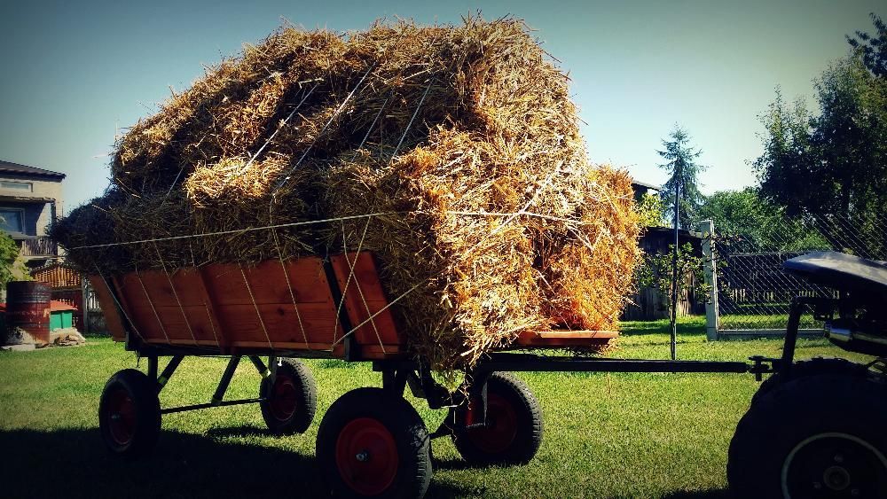 Słoma w kostkach 2024!! (Snopek) Tegoroczne Wysyłka, Możliwy Transport
