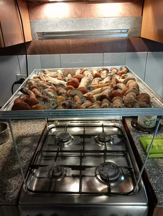 нова сушка,сушилка для сухоруктів та грибів...