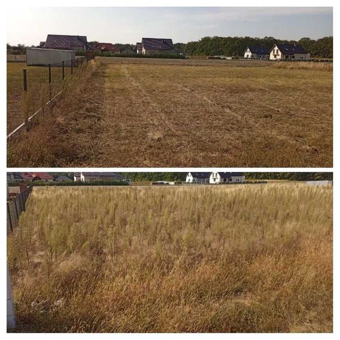 Glebogryzarka separacyjna wykaszanie porządkowanie działek frezowanie