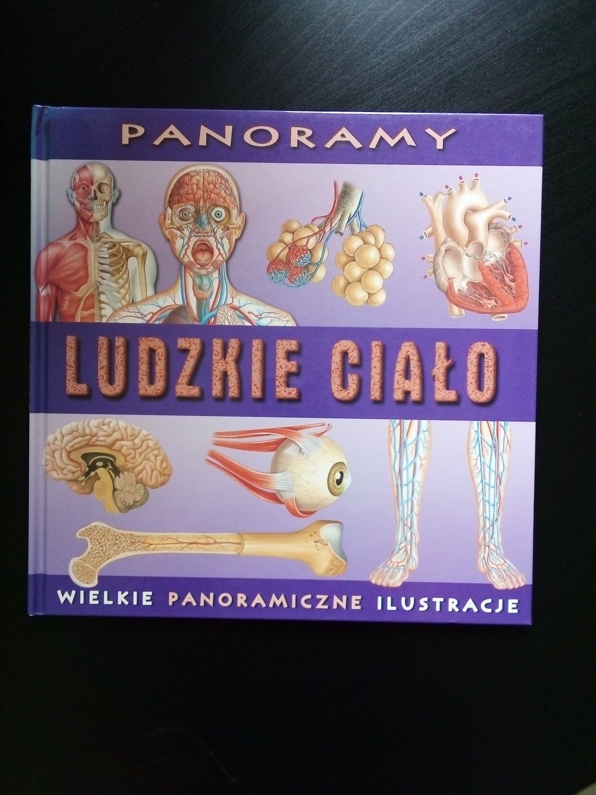 Ludzkie ciało. Ilustracje