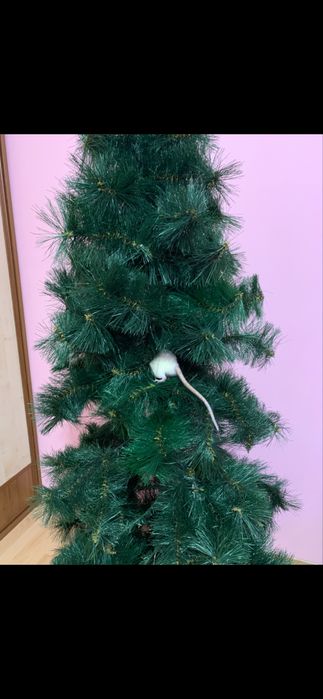 Ялинка 1.80 см, з двох частин