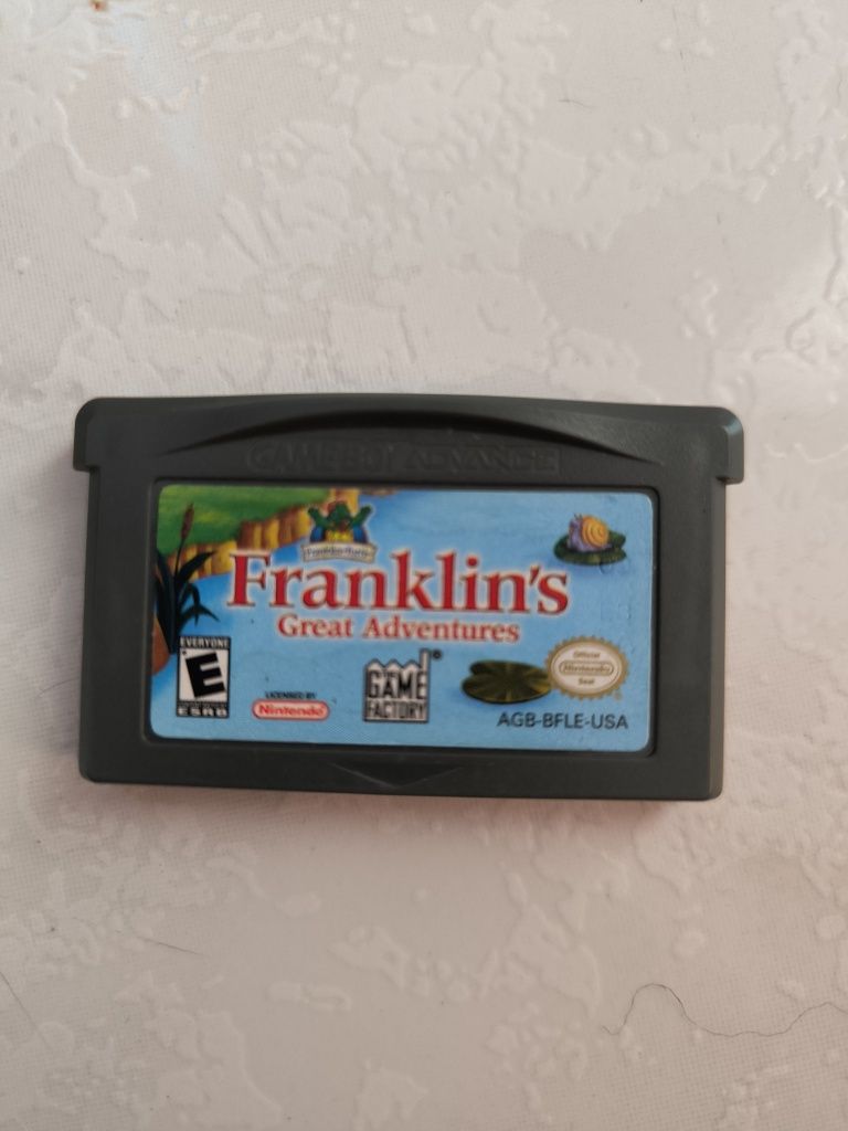 Jogo nintendo DS lite - Franklin