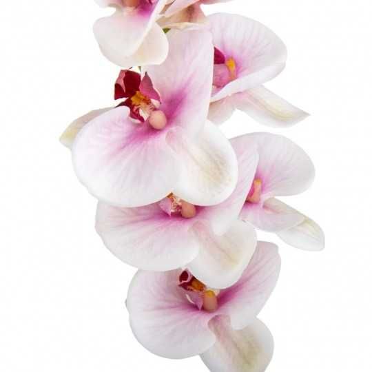 Орхідея "Фаленопсис", біло-рожева, 75 см (9023-013)
