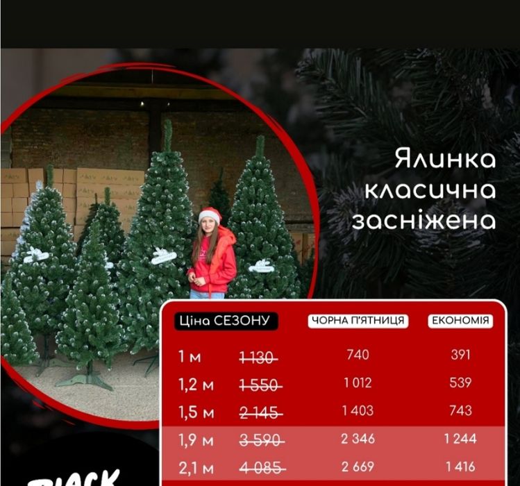 Ялинка класична засніжена штучна 2м