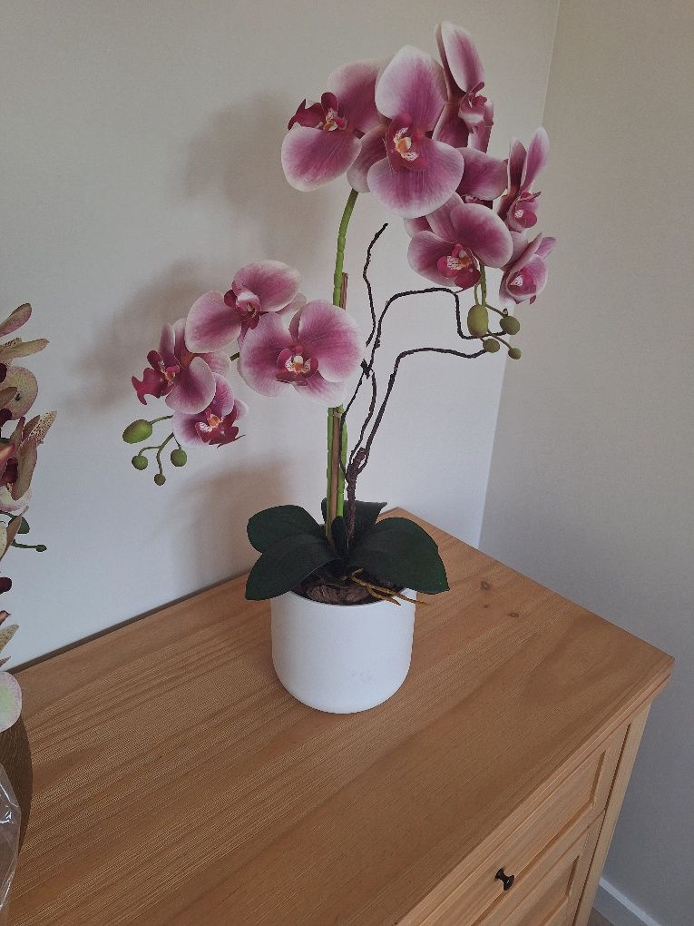 Vaso com orquídeas