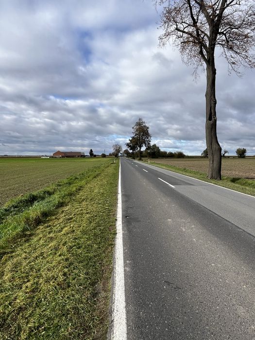 Mulczowanie ściernisk kukurydzy, traw, poplonów, nieużytków, rowów