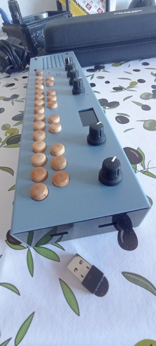 Organelle M Critter & Guitari