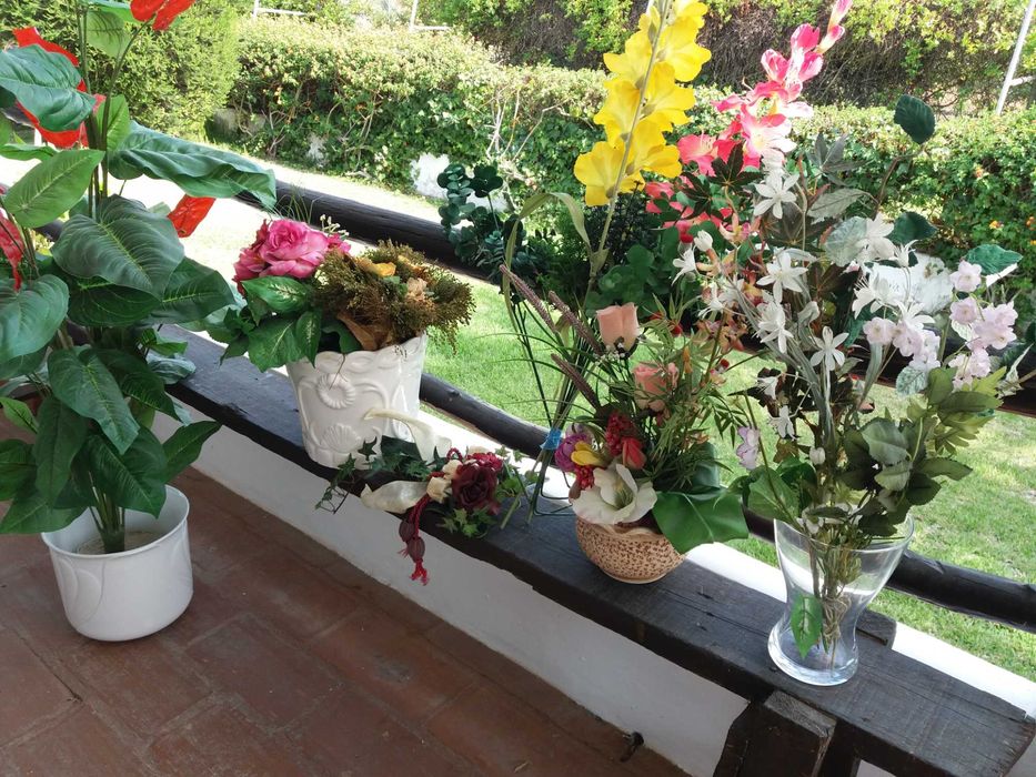 louça quadros plantas sofás