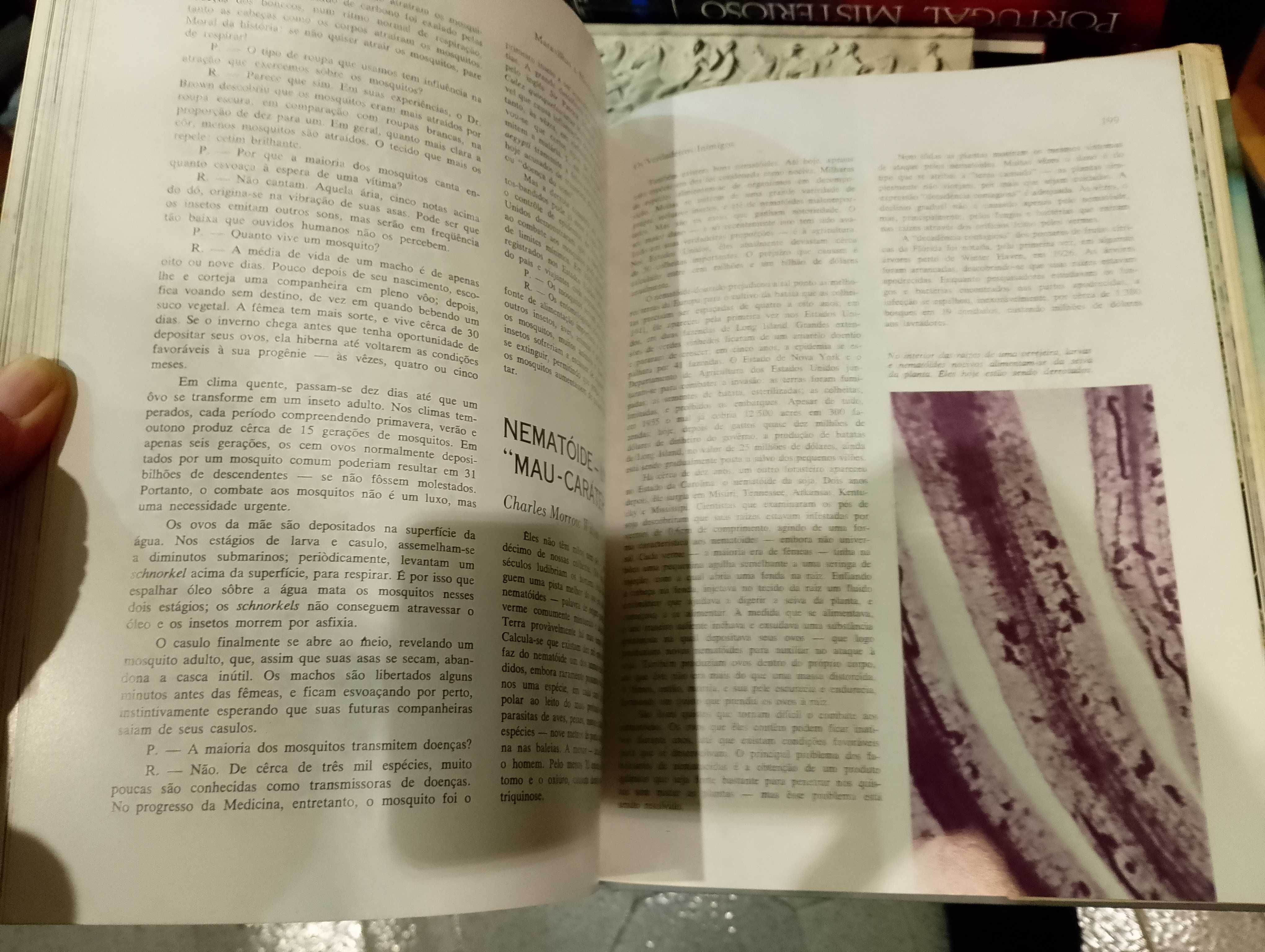 Maravilhas e Mistérios do Mundo Animal - Seleções do Reader's Digest
