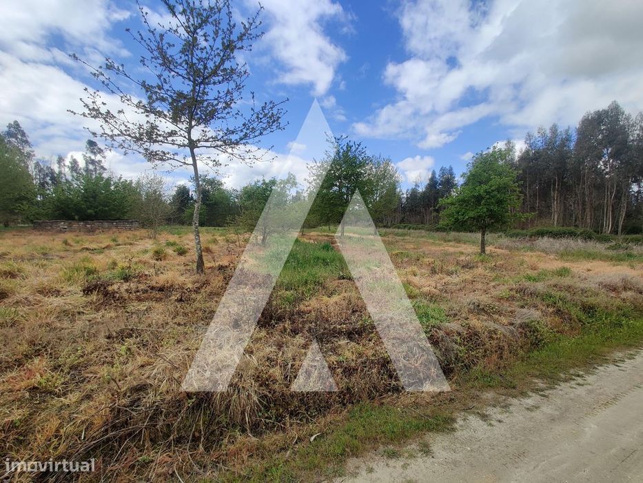 Terreno rústico em Requeixo, Nossa Senhora de Fátima