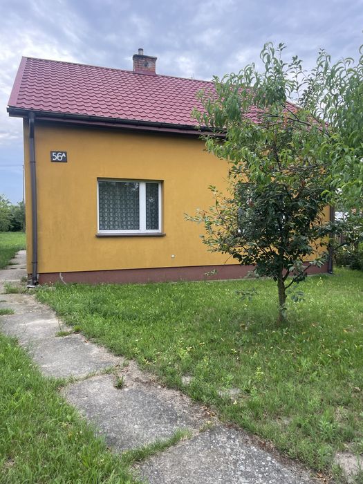 Na sprzedaż posiadłość 1,78 ha – Młodynie Górne