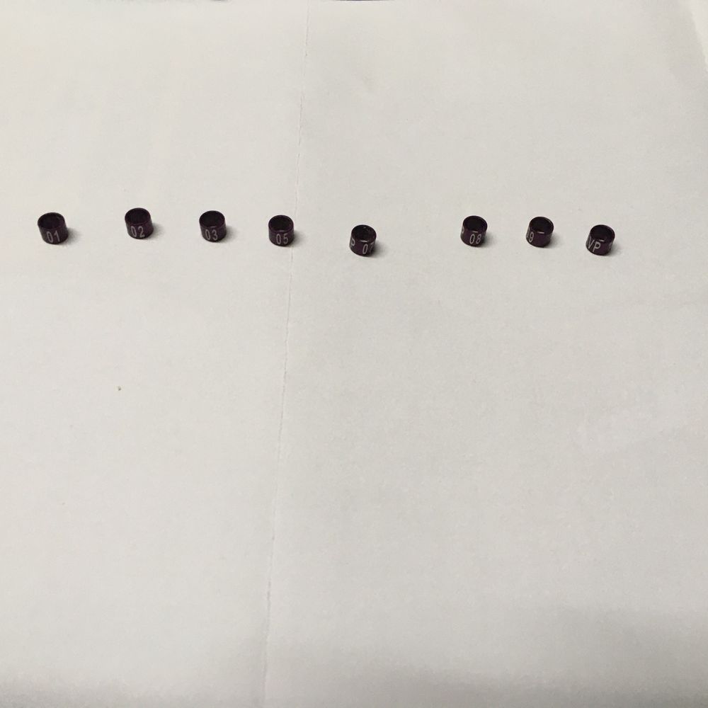 8 anilhas 4mm numeradas