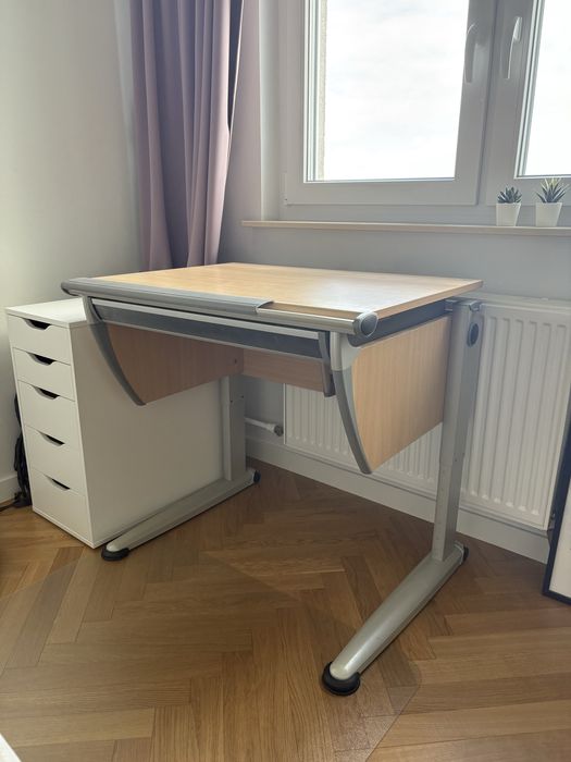 Biurko dzieciece/młodzieżowe MOLL