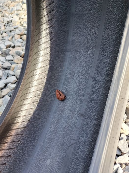 Opony zimowe Pirelli 225/45/18