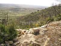 Propriedade de 9ha inserida no P. N. Serra de S. Mamede
