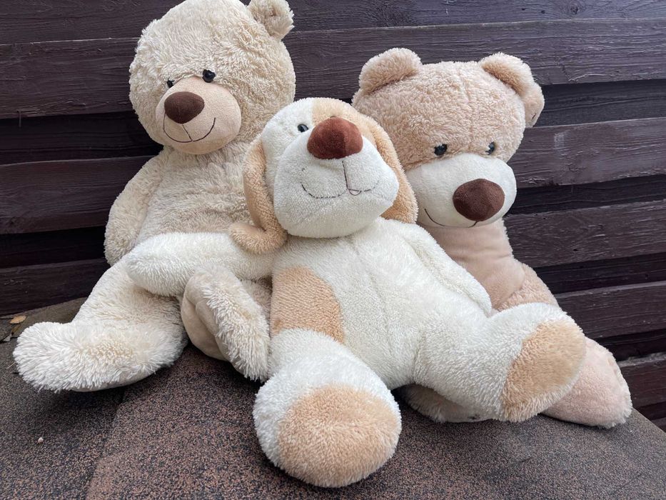 Три ведмеді троє друзів