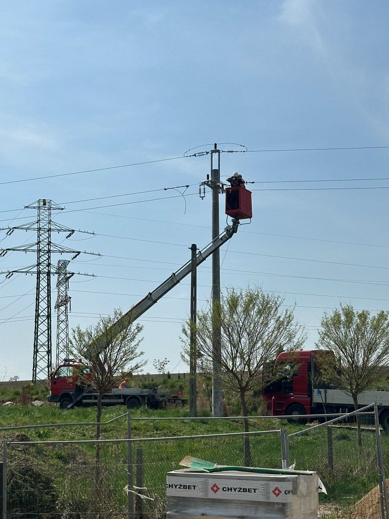Wycinka, przycinka drzew, krzewów