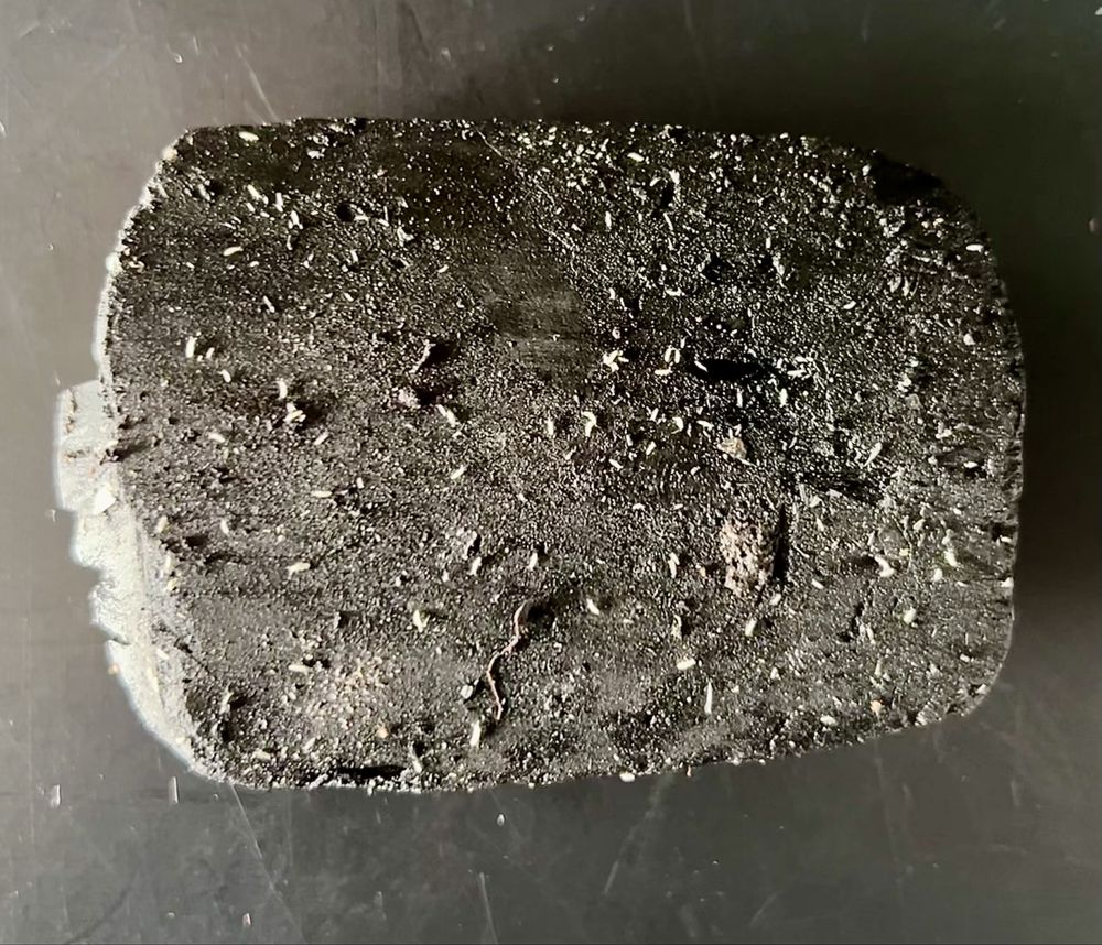 Isopody, prosionki, karaczany, skoczogonki