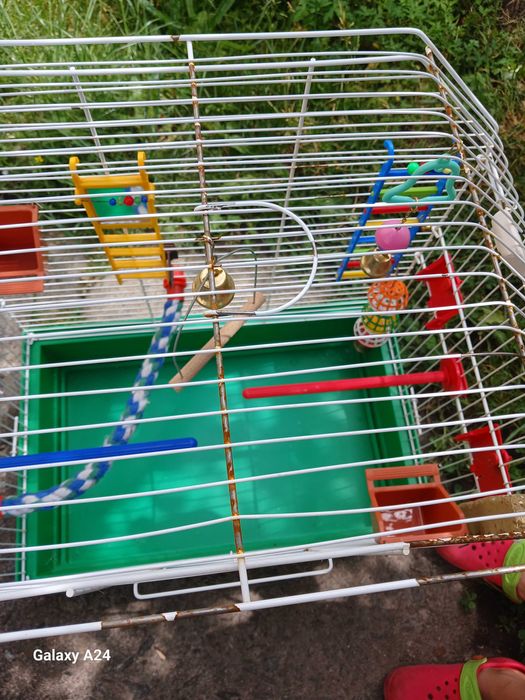 Клєтка для папуги