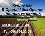 Цікавлять Паї сг приз. з орендою Андрушів,район Ружин ,Попільн,Черн