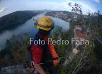 Poda , Corte  controlado Arvores por escalada