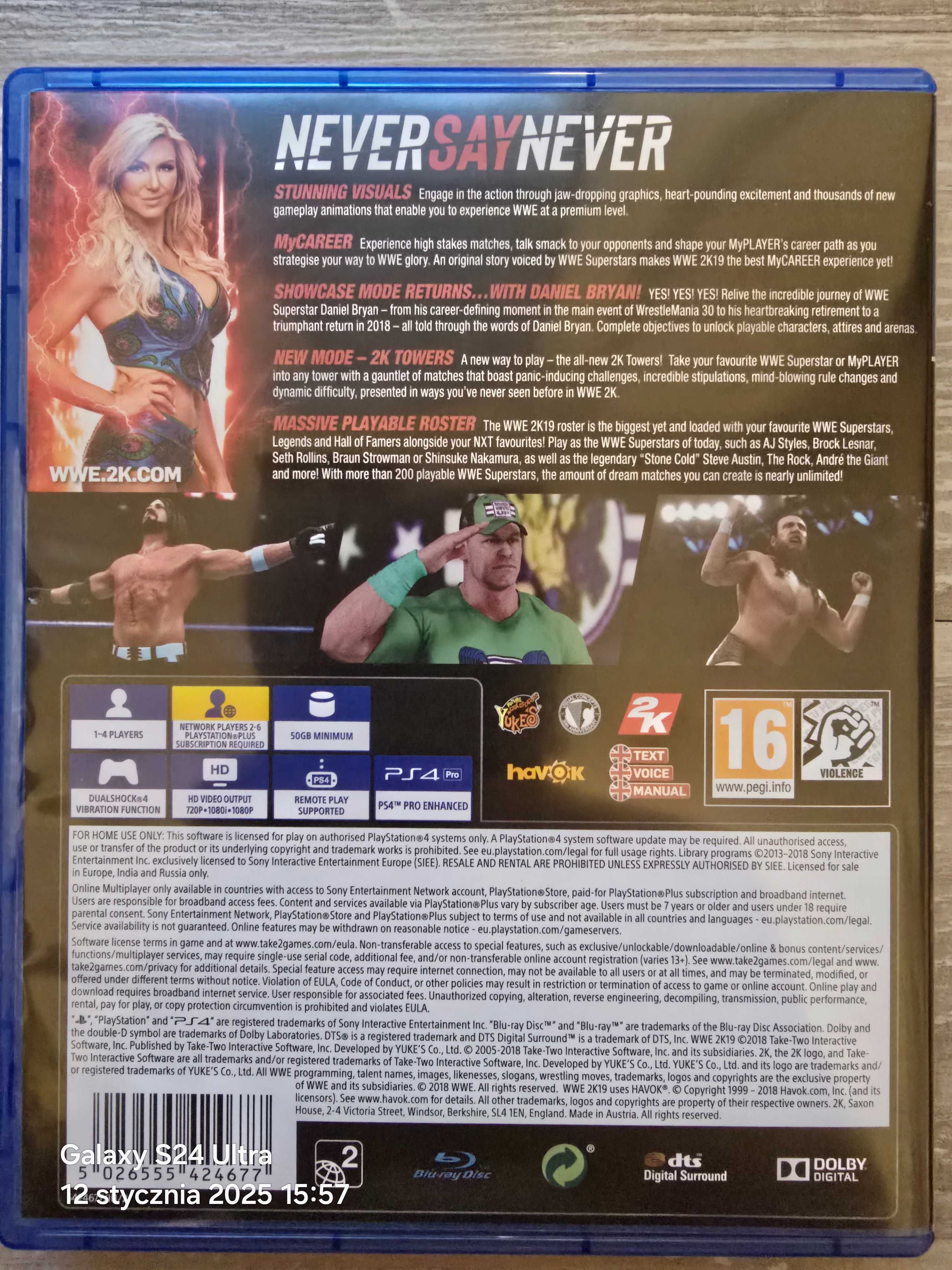 Gra WWE 2k19 PS4/PS5