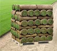 Trawa trawnik z rolki sprzedaż montaz transport