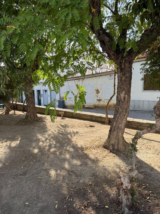 Lote urbano Amareleja