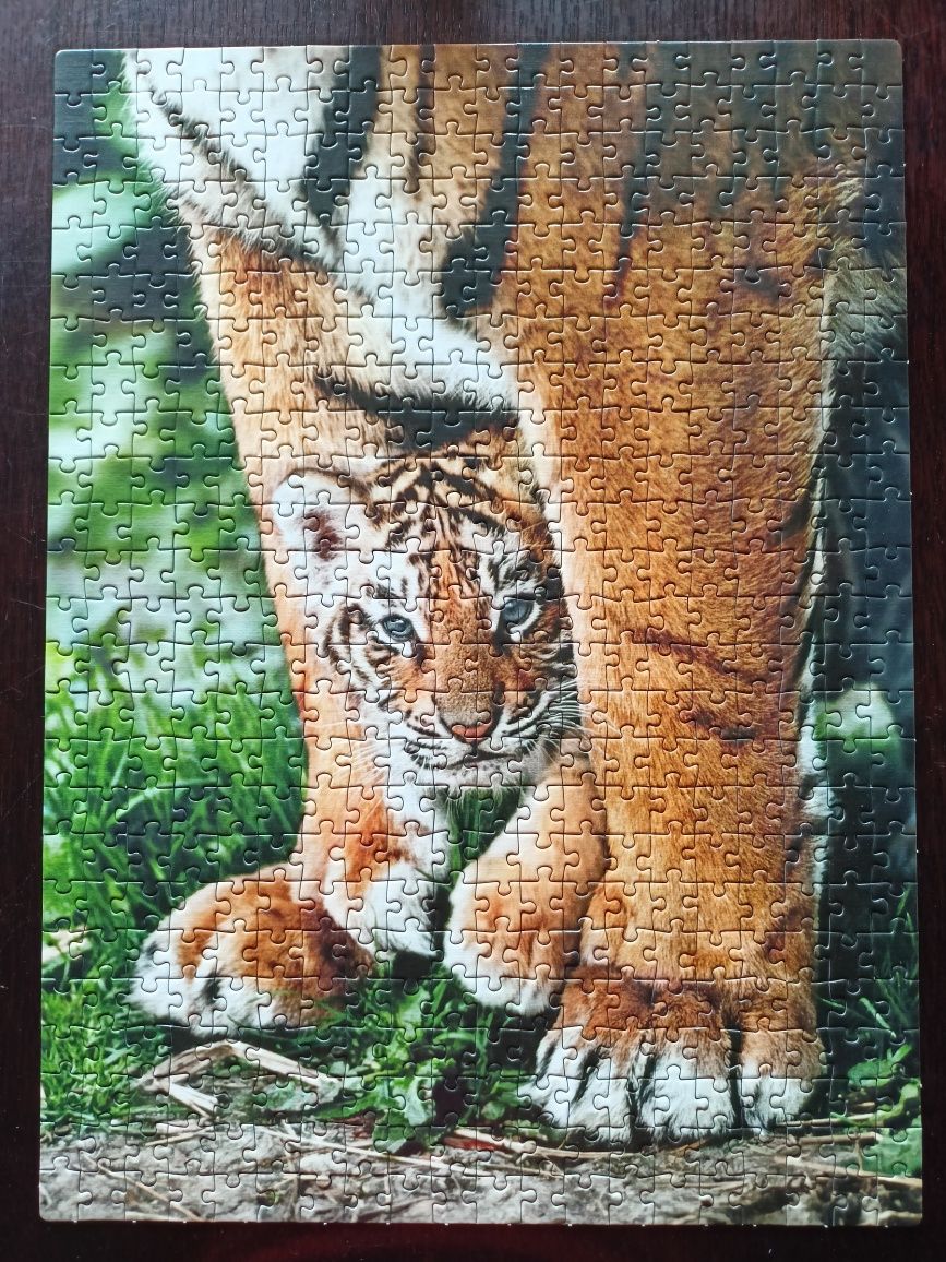 Puzzle Clementoni 500 elementów Mały Tygrys Bengalski