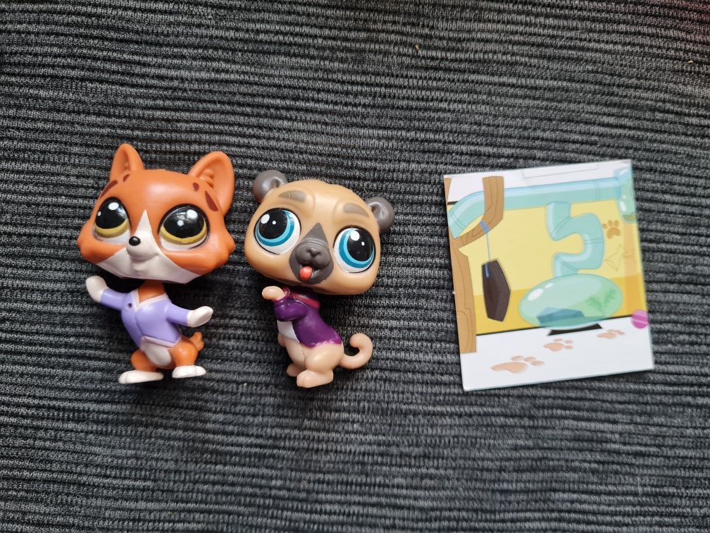 Zestaw Littlest pet shop