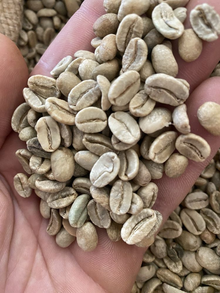 Свіжообсмажена кава в зернах від виробника 0,5кг ірландський крем