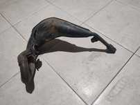 Vendo Balão DTR original