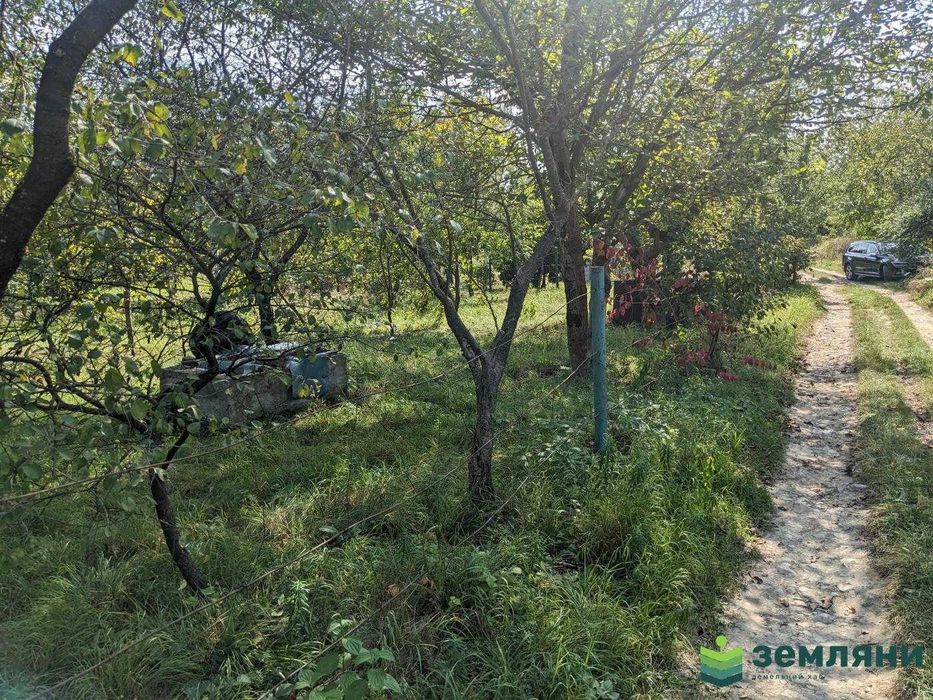 Продаж Дачі 5,01 сот в с.Вовчинець, СТ Агрохімік (5)