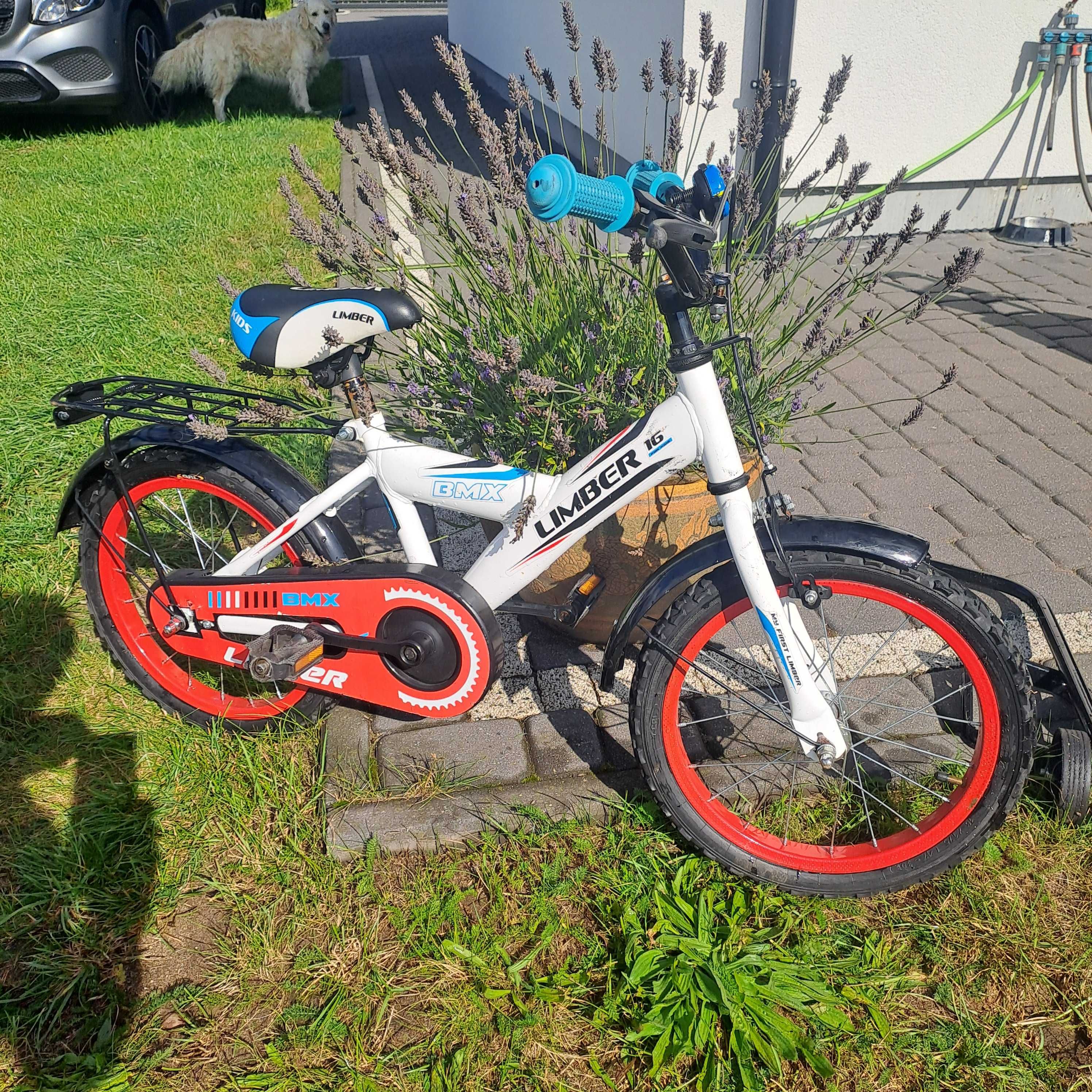 Rower dzieciecy BMX