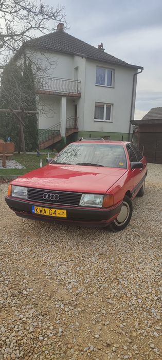 Audi 100 C3, AUDI 100 "cygaro"