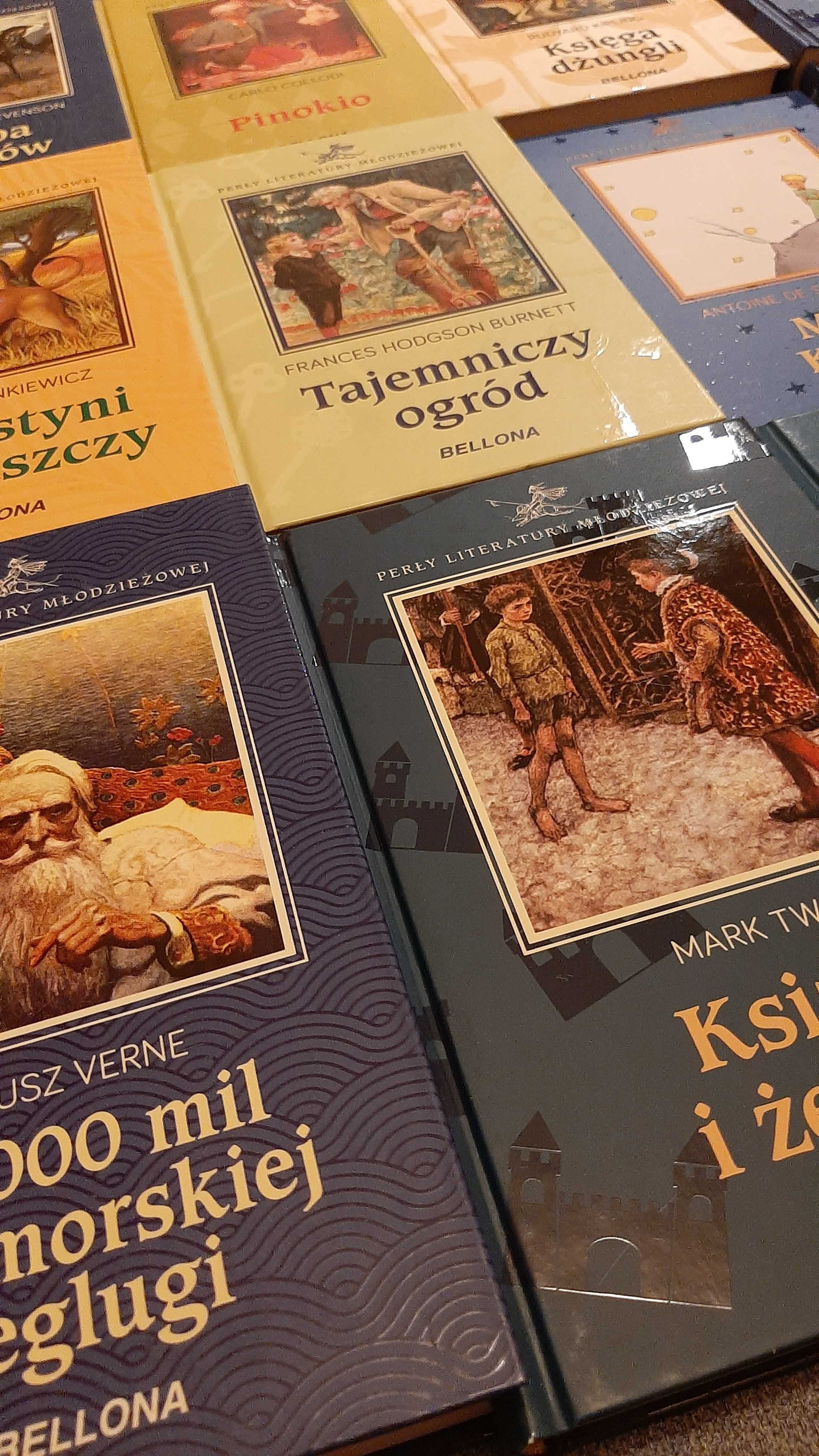 Komplet 20 Perły Literatury Młodzieżowej Bellona klasyka powieści