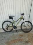 Vendo bicicleta coluer
