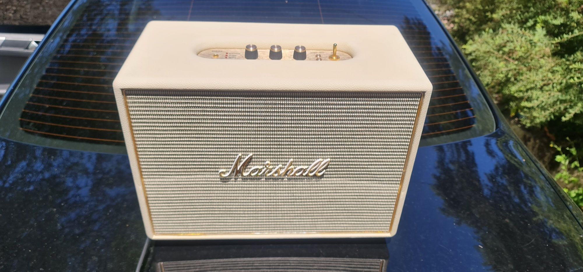 Marshall woburn 1