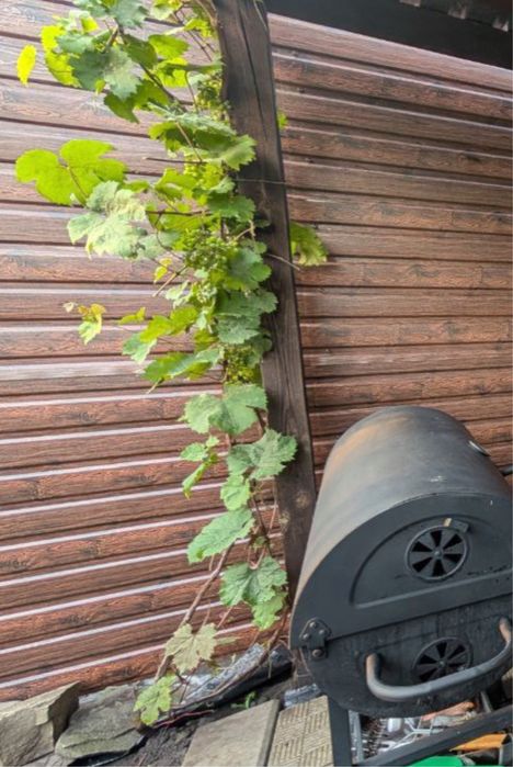 Профнастил , металочерепиця від завода виробника м.Пʼятихатки