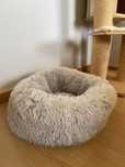Cama gato.
