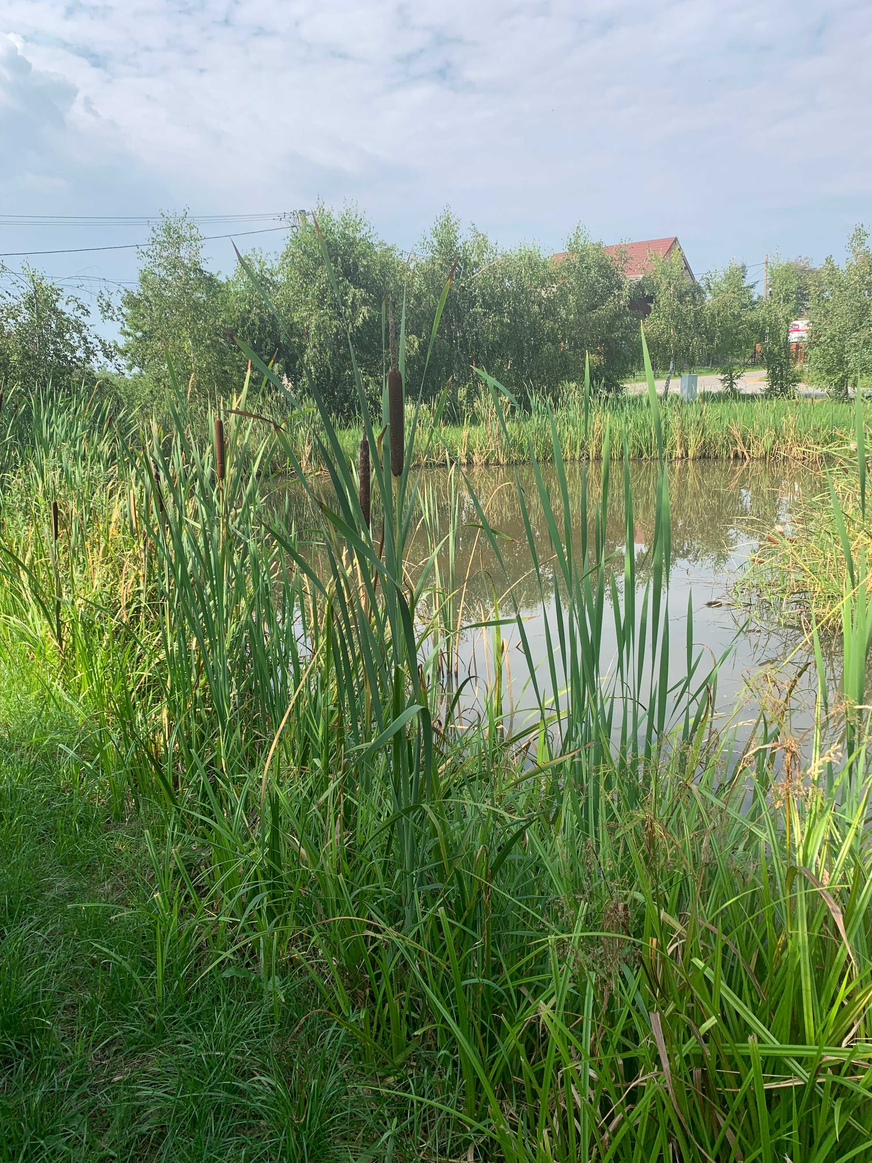 Unikalna Działka Rekreacyjna z Oczkiem Wodnym - Stare Rybie