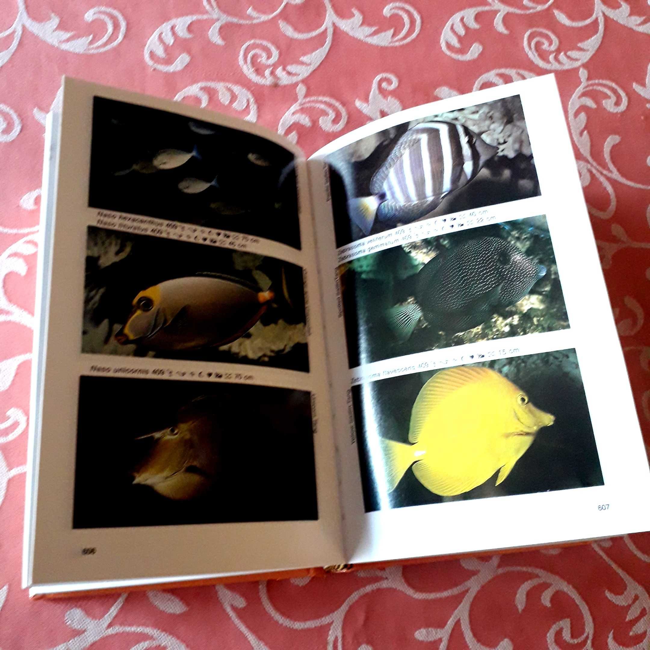 Dr. Warren E. Burgess Mini-Atlas of Marine Aquarium Fishes