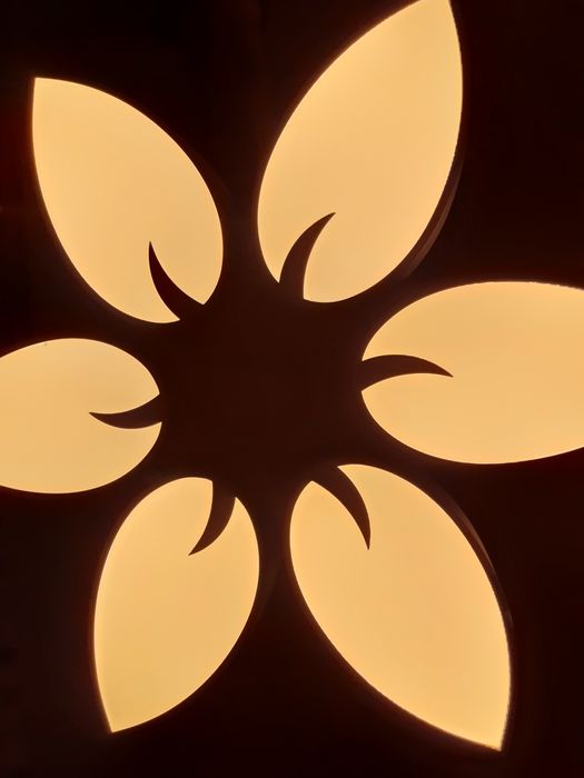 Nowa Lampa Plafon LED z PILOTEM - 55 cm - 36 W