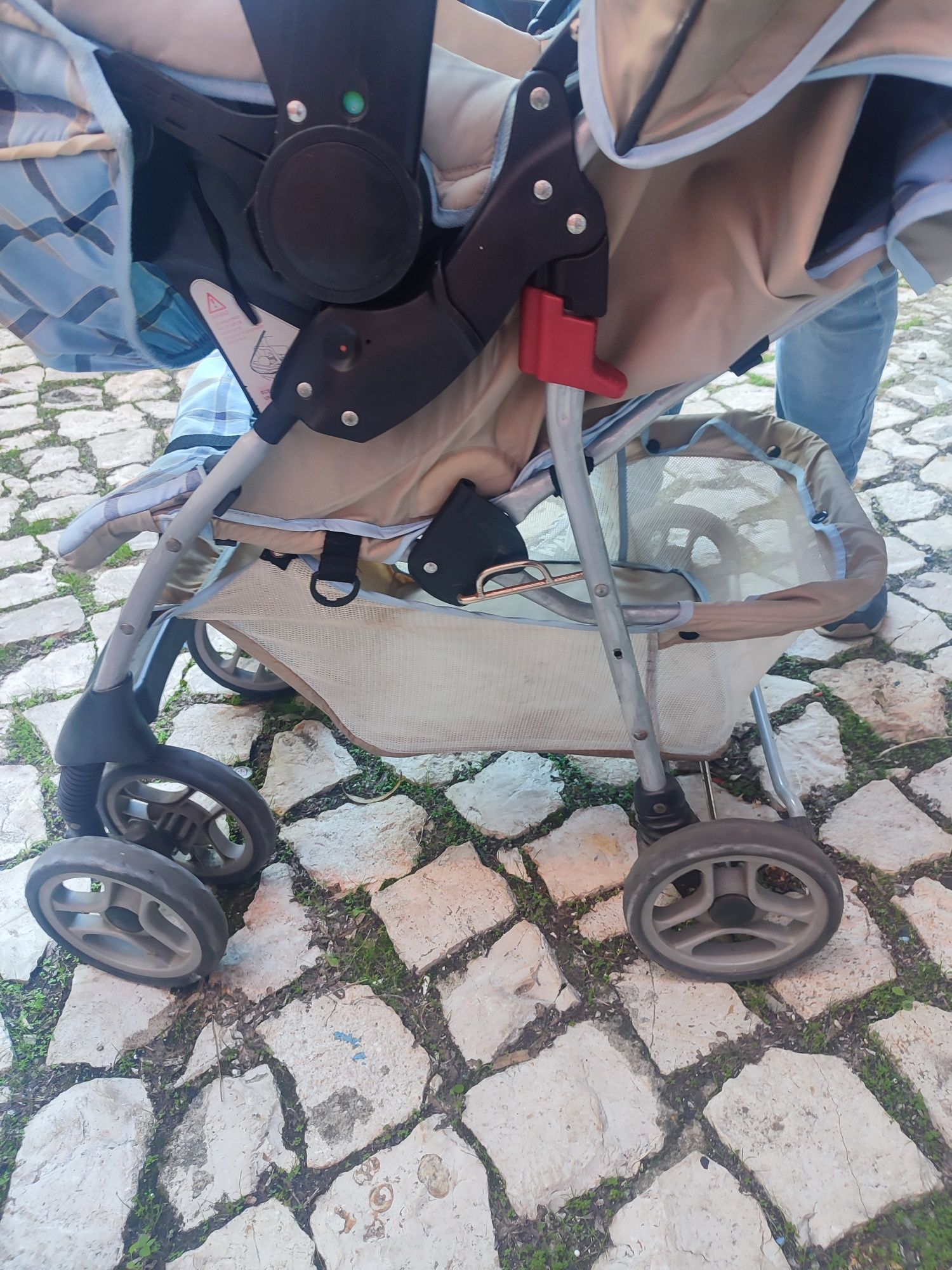 Carrinho bebe com ovo