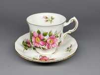 Filiżanka z podstawkiem porcelana PARAGON Prairie Rose vintage