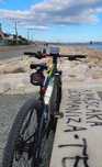 Bicicleta Deed hoop 29