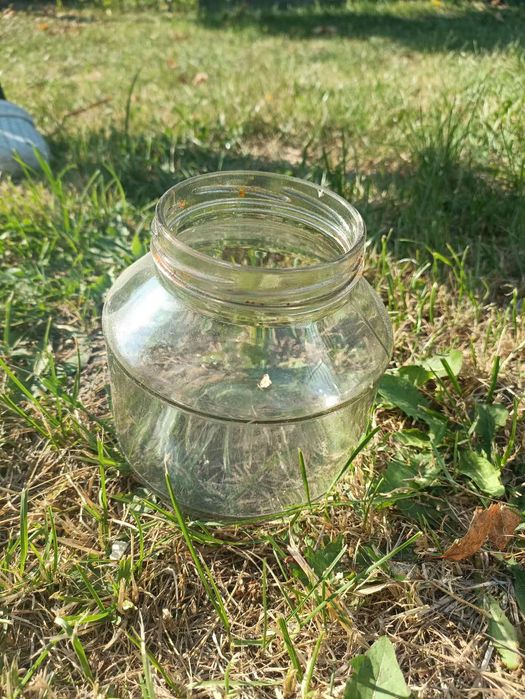 Різні банки для консервації